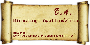 Birnstingl Apollinária névjegykártya